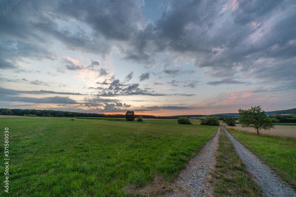 Naklejka premium Wheat field