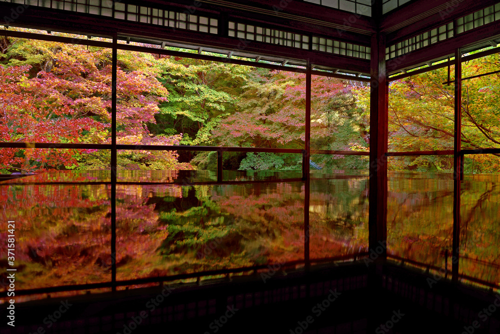 Fototapeta premium 瑠璃光院・庭園