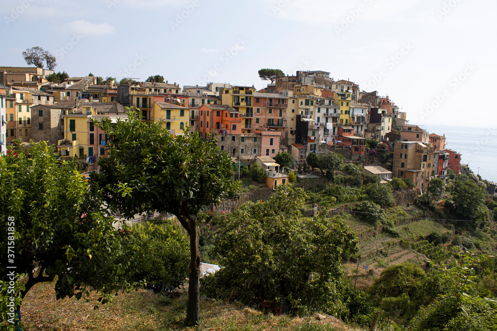 view of the city Corniglia Italy Cinque Terre