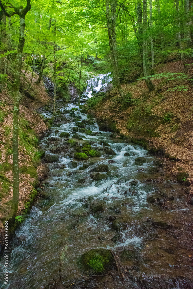 small waterfall in the forest small waterfall in the forest