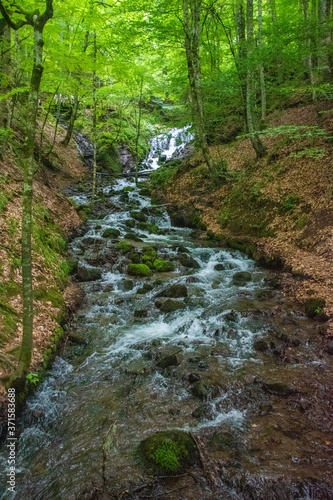 small waterfall in the forest