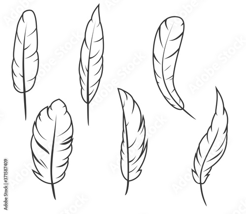 Set of hand drawn feathers different shapes in minimalistic monochrome cartoon style. Design elements isolated on white background. Vector illustration.