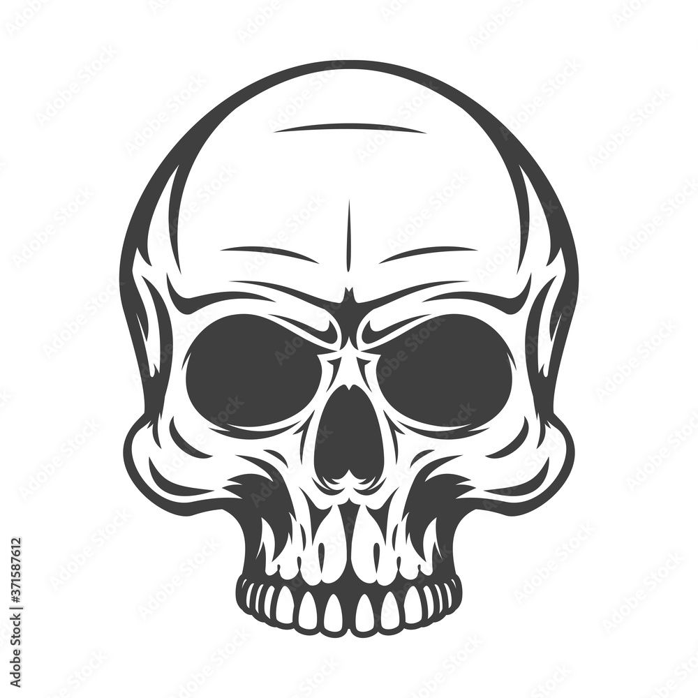Fototapeta premium Vintage monochrome human skull isolated on white background. Hand drawn design element template for emblem, print, cover, poster. Vector illustration.