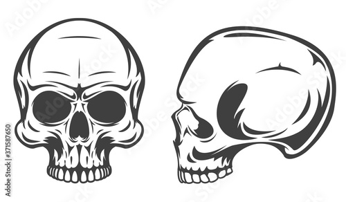 Vintage monochrome human skull isolated on white background. Hand drawn design element template for emblem, print, cover, poster. Vector illustration.