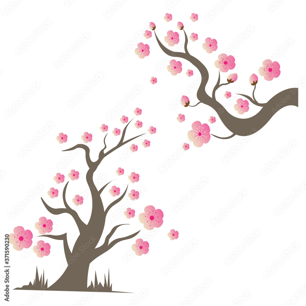 Sakura Beauty flower Vector icon illustration design Sakura Beauty flower Vector icon illustration design