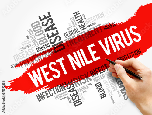 Slika na platnu West Nile Virus word cloud collage, health concept background