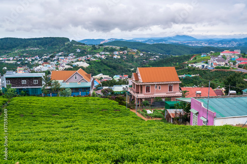 Small village in a tea hill valley on a stormy day in the highlands of Da Lat, Vietnam. The place provides a great deal of tea for the whole country