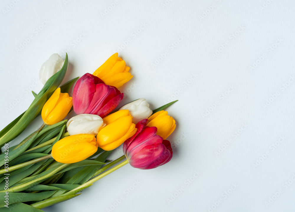 Bouquet of beautiful tulips of white and yellow color on a white background. Top view. Flowers are on the table.