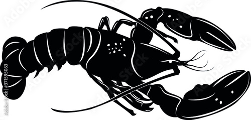 Lobster Vector Illustration, Side View