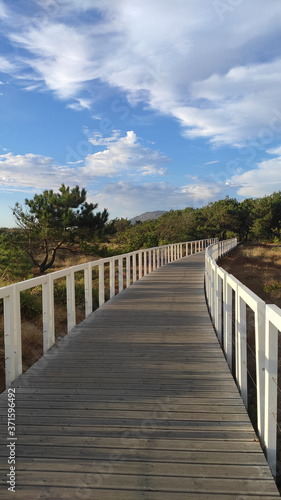 Ecovia Litoral Norte (North Coast Ecoway), walking path in Esposende, Portugal. © An Instant of Time