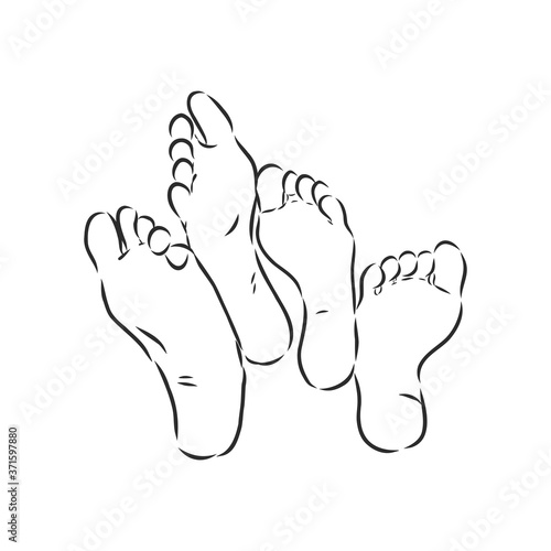 Isolated vector illustration. Hand drawn sketch of a bare human foot or sole.