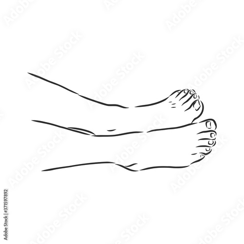 Human woman bared feet line drawing. Vector illustration sketch