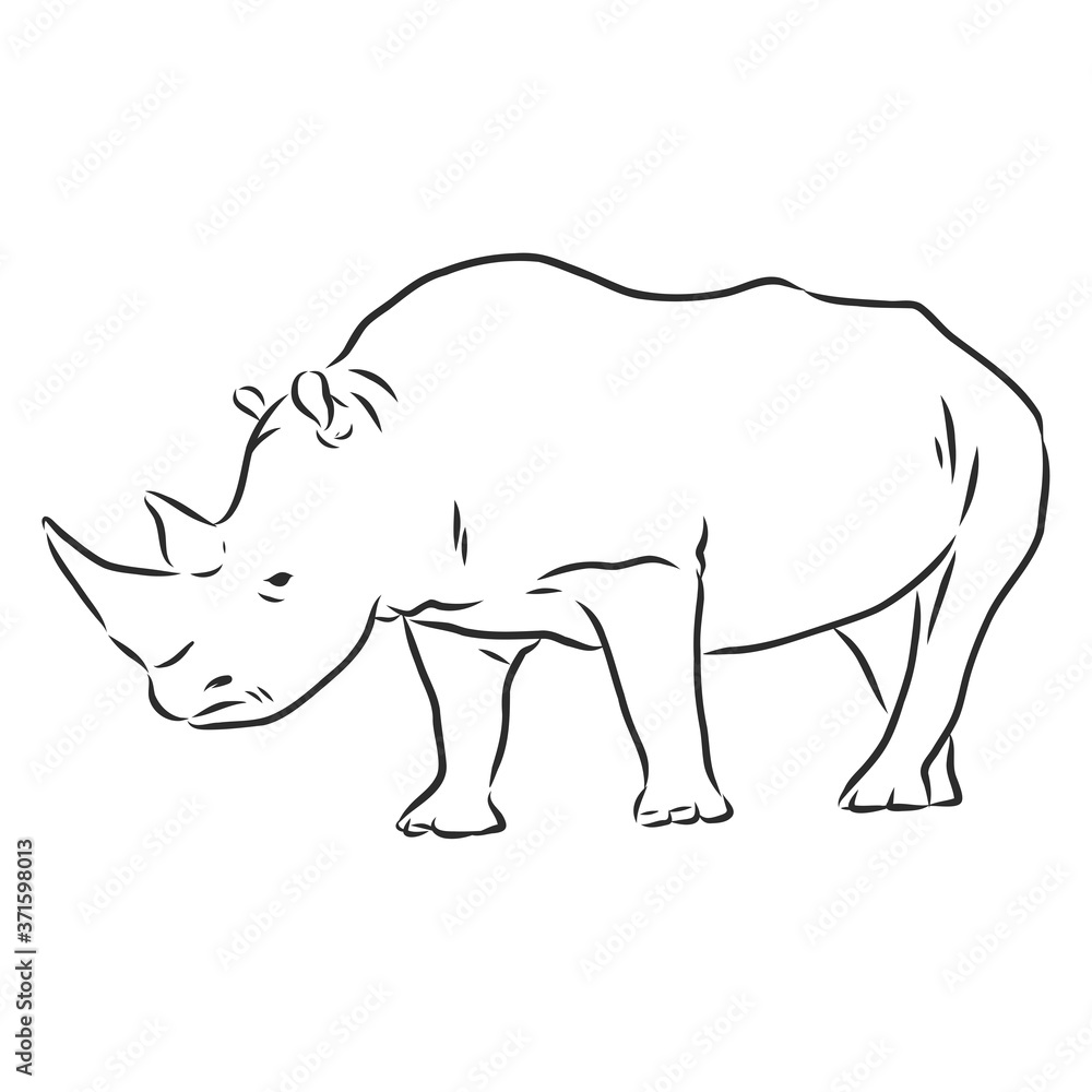 Fototapeta premium African rhinoceros Wild animal sketch, ink. Vector illustration for label. safari symbol.