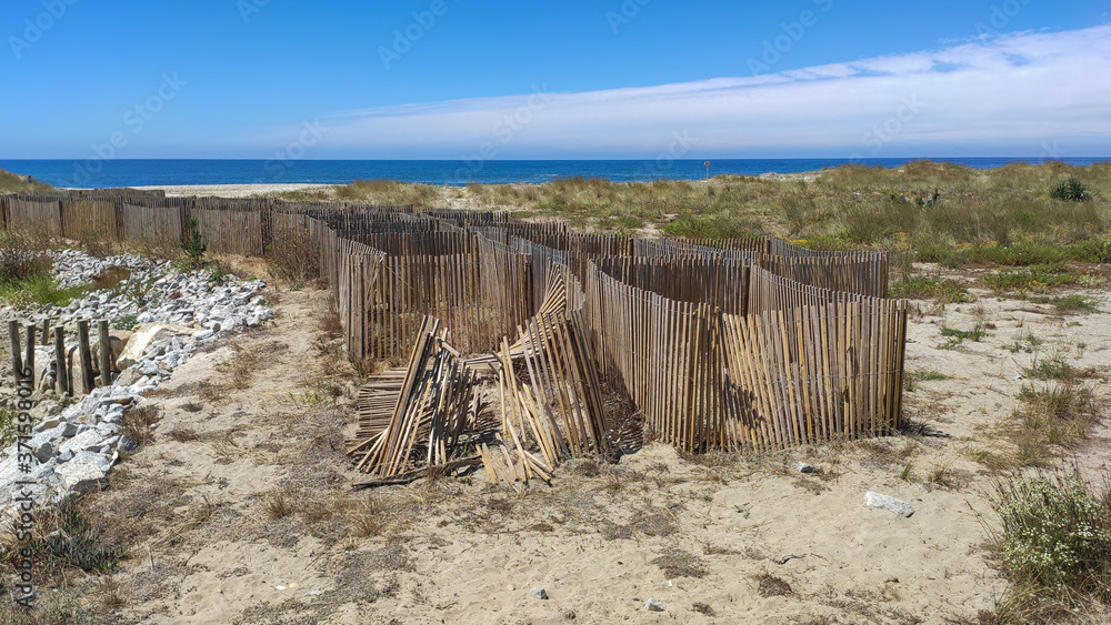 View of a cracked and dried river and dune fencing to control wind erosion and encourage dune stability at the North Coast Natural Park. The Protected Landscape of Esposende Coast, Portugal.