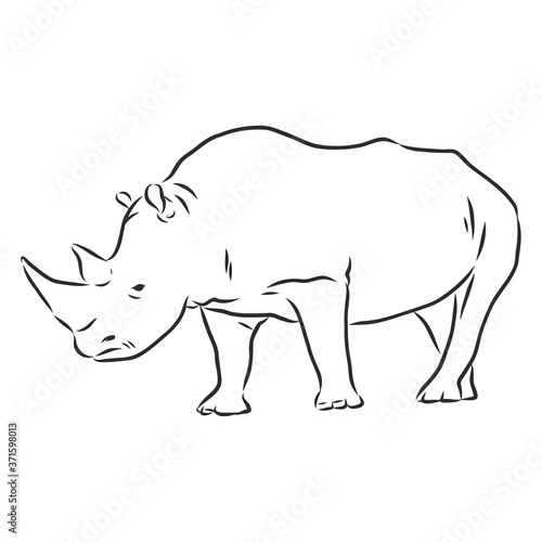 African rhinoceros Wild animal sketch, ink. Vector illustration for label. safari symbol.