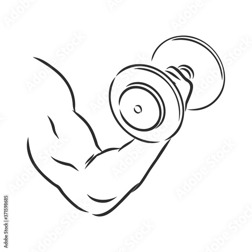 arm, bicep, strong hand holding a dumbbell, icon hand drawn vector illustration sketch