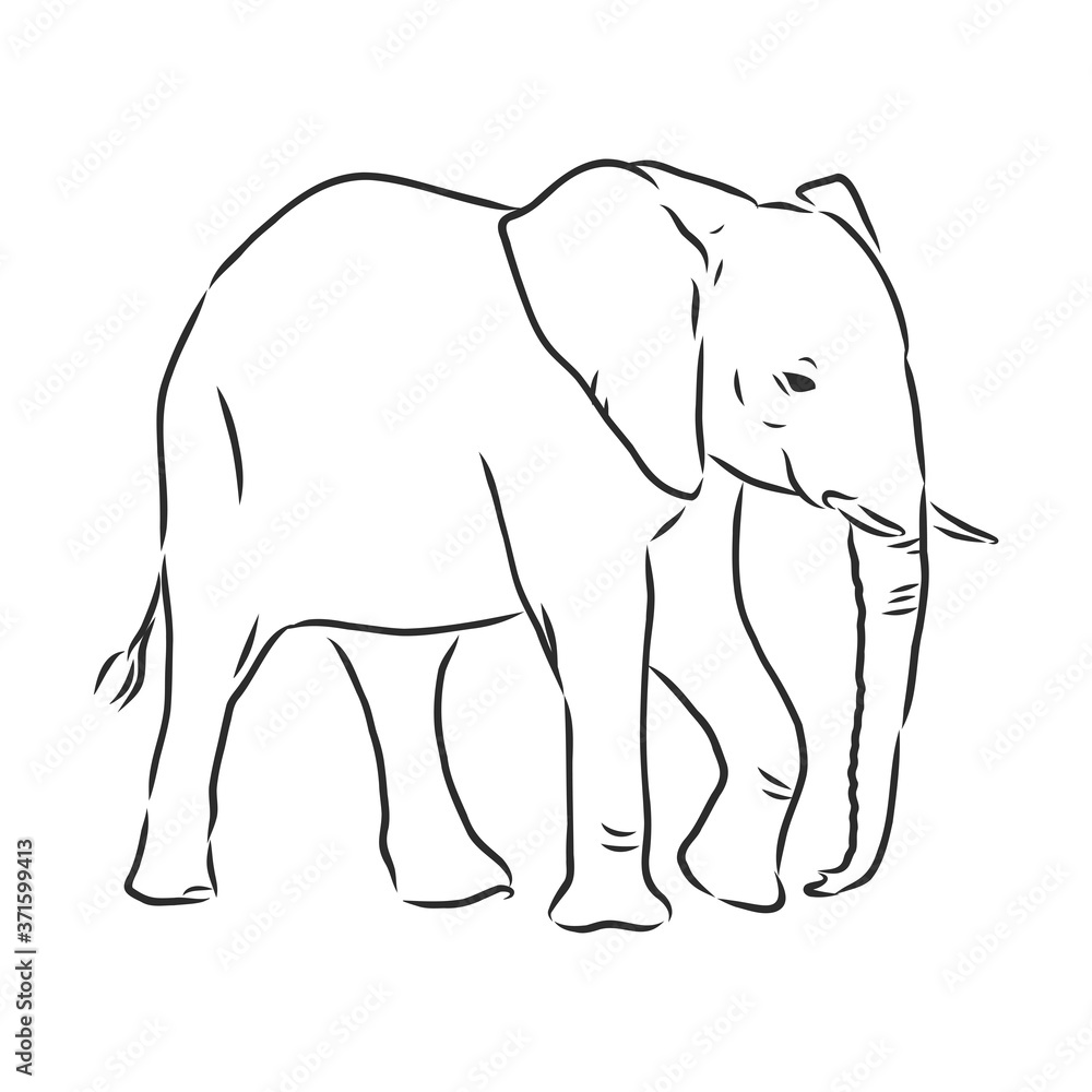 Fototapeta premium african elephant silhouette - freehand on a white background, vector illustration