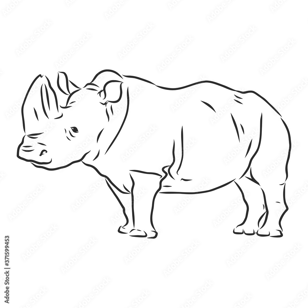 African rhinoceros Wild animal sketch, ink. Vector illustration for label. safari symbol. African rhinoceros Wild animal sketch, ink. Vector illustration for label. safari symbol.