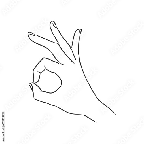 Hand OK Sign Isolated on White Background. Sketch style. Vector illustration