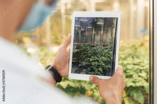 Close up of young researcher taking photograph of plants through digital tablet in greenhouse