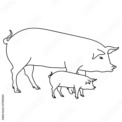 Outline drawing pig mom and pig, coloring page for kids learning, zoology and farm for toddlers, animal parents and kids vector illustration
