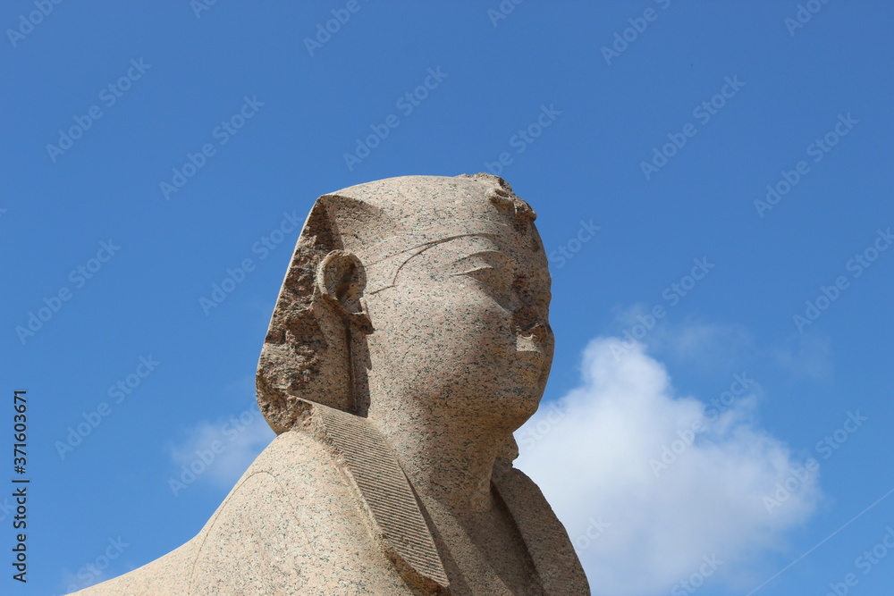 Sphinx of Serapeum and Pompey`s Pillar.
