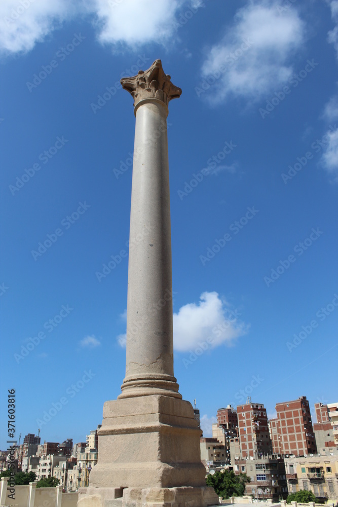 Top of Serapeum and Pompey`s Pillar.
