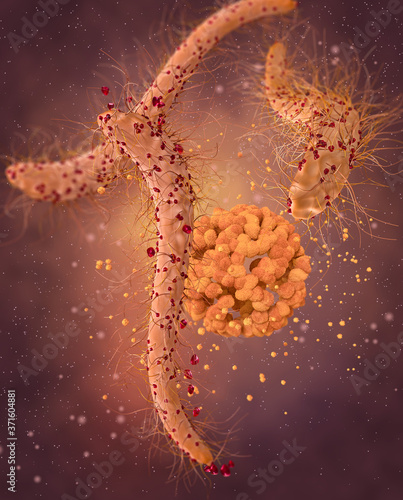 Dangerous pathogenic bacteria Escherichia coli, colibacillus, pathogen of stomach infection, medical abstract background, concept, 3D rendering photo