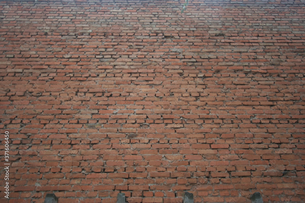 Obraz premium old brick wall texture