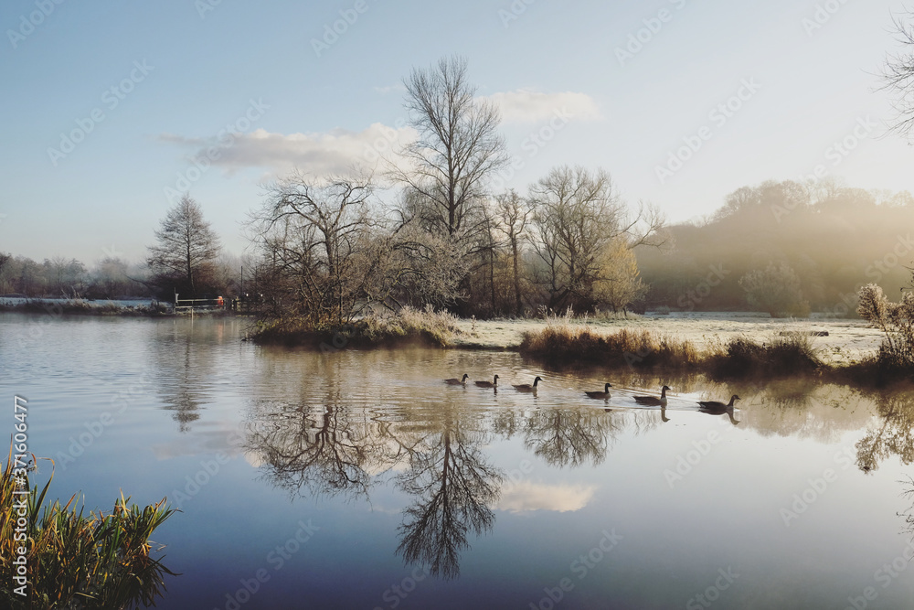 Morning mist and frost on the River Wey, Surrey, on a cold winter's morning Morning mist and frost on the River Wey, Surrey, on a cold winter's morning
