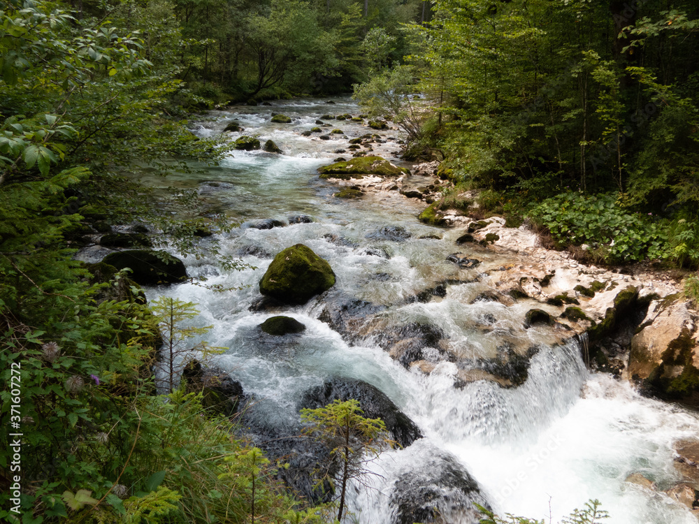 Powerful river flowing through gorge surrounded by rock and forest Powerful river flowing through gorge surrounded by rock and forest