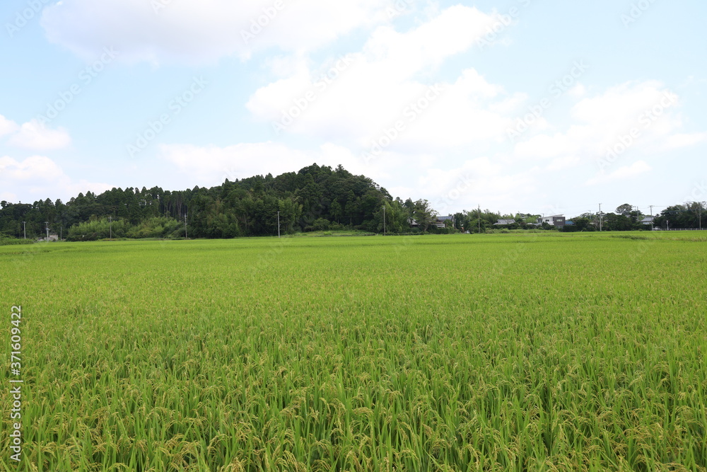 田園風景