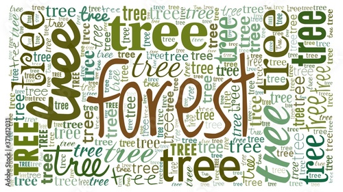 Can't see the forest for the trees - word cloud isolated on a white background.