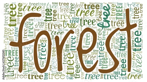 Can't see the forest for the trees - word cloud isolated on a white background.