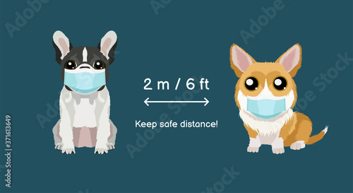 Keep safe distance two meters or six feets.  Coronavirus infection spreading prevention information sign with welsh corgi and french bulldog in medical masks. Vector illustration for children
