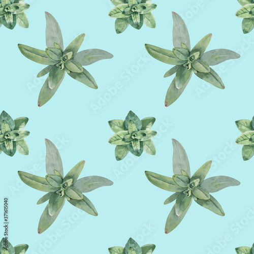 Watercolor hand drawn leaves and herbs seamless pattern on blue background. Summer leaves and buds. Flat lay.