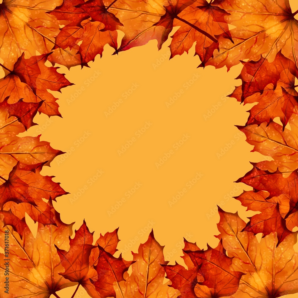 Fototapeta premium Maple Leaf Background.