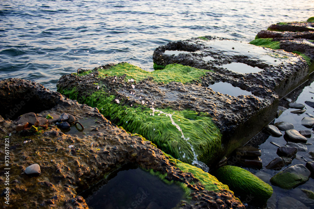 Small concrete slabs on the beach. Breakwaters in which there are small holes. Partially covered with green moss/algae. The waves of the beautiful sea hit them. Summer evening.