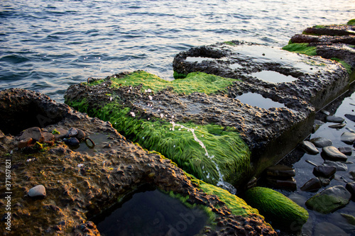 Small concrete slabs on the beach. Breakwaters in which there are small holes. Partially covered with green moss/algae. The waves of the beautiful sea hit them. Summer evening. © Марина Крисенко