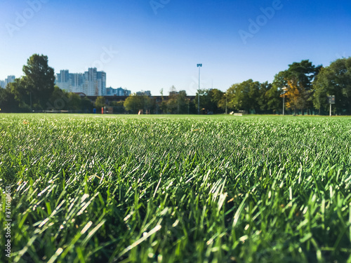 School stadium. Green grass soccer field