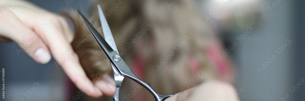 Fototapeta Close-up of mother holding metal scissors and cutting strand of luxury girls hair. Home hairdresser and creating hairstyle indoors. Child and parent spare time together