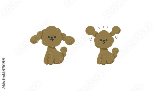 手描きの子犬 ベクターイラスト（トイプードルお座り）