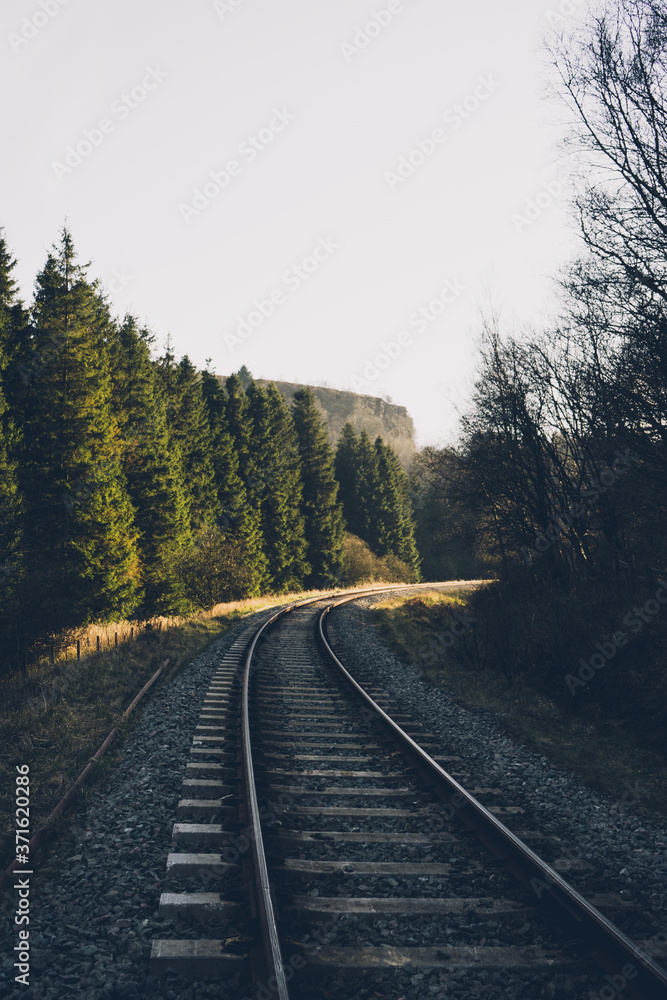 Fototapeta premium Railway to the Woods