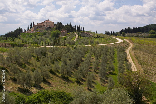 Landscape near San Gimignano  Province of Siena  Tuscany  Italy  Europe 