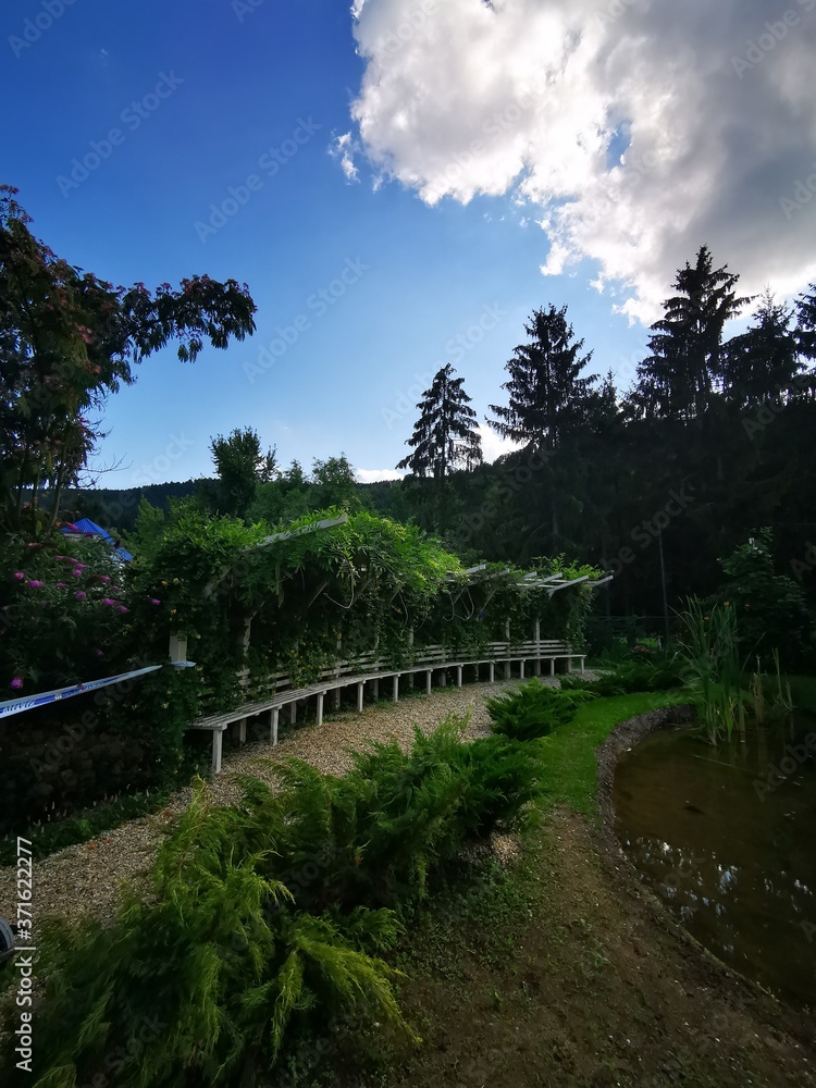 Fototapeta premium Beautiful landscape in fairy garden with lots of pines and mountains in the background
