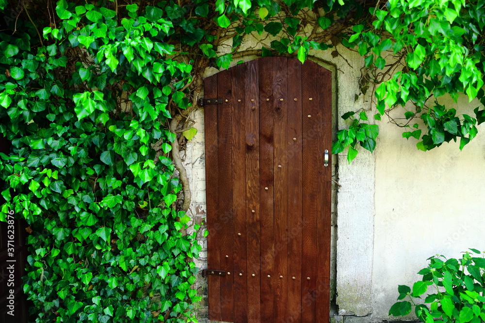 Stare drewniane drzwi do wiejskiej kuchni letniej