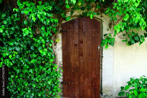 Stare drewniane drzwi do wiejskiej kuchni letniej