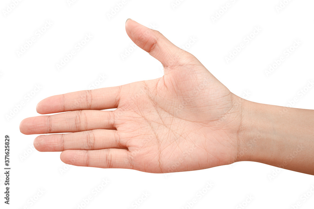 Hand open and ready to help or receive. Gesture isolated on white background with clipping path. Hand open and ready to help or receive. Gesture isolated on white background with clipping path.