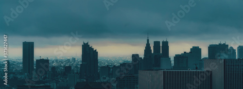 Canvas Print Tokyo skyline skycrapers during a rain storm