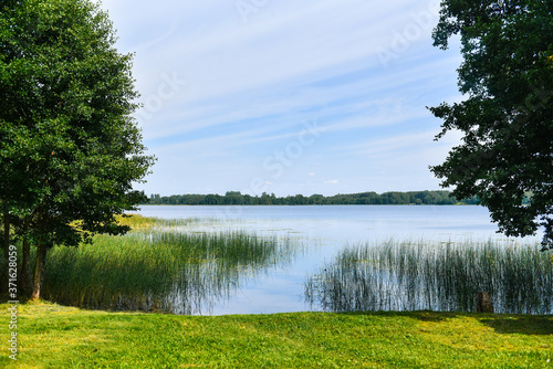 Lake shore on a sunny summer day